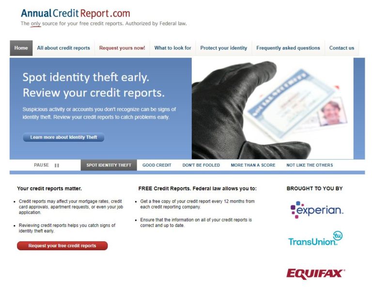 how to view credit report online